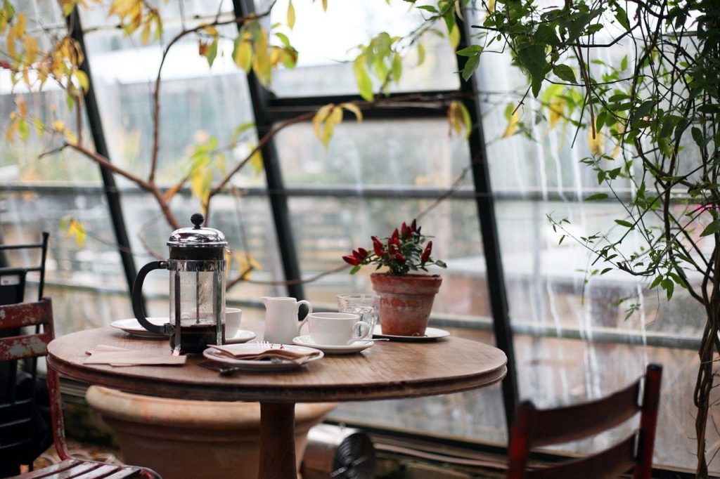 conservatory, coffee, plants-1031494.jpg